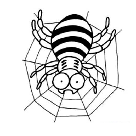 网上爬行的蜘蛛简笔画图片
