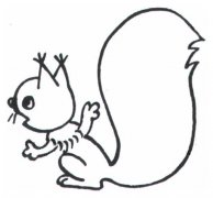 大尾巴的松鼠简笔画图片