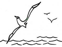 幼儿风景简笔画图片：大海上的海鸥