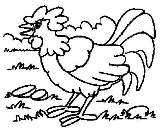 动物简笔画：啼叫的公鸡