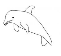 儿童简笔画：海豚
