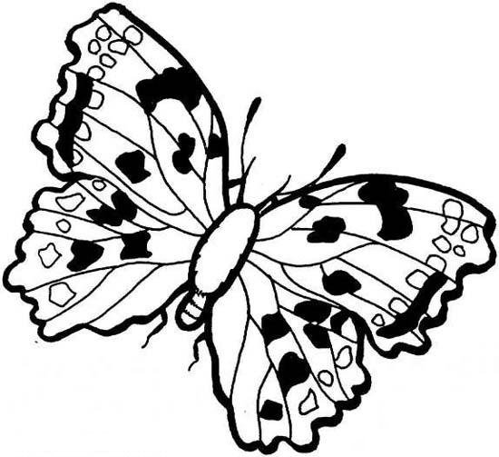 漂亮的蝴蝶简笔画图片