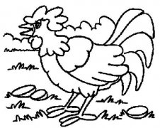 动物简笔画：啼叫的公鸡