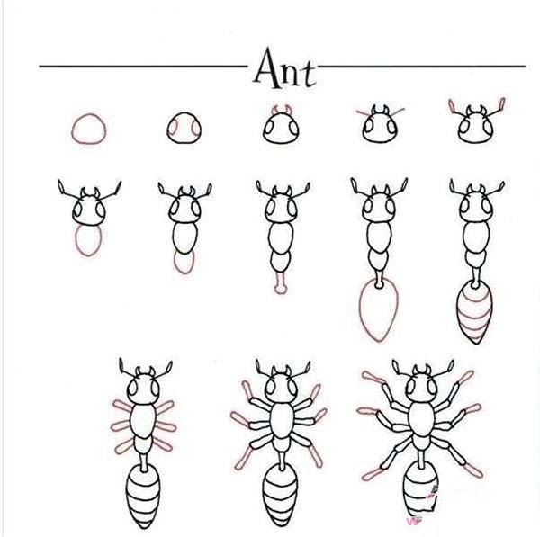 蚂蚁简笔画的画法图示