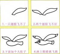 海鸥简笔画画法步骤：怎么画海鸥