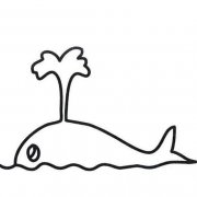 喷水的鲸鱼简笔画图片