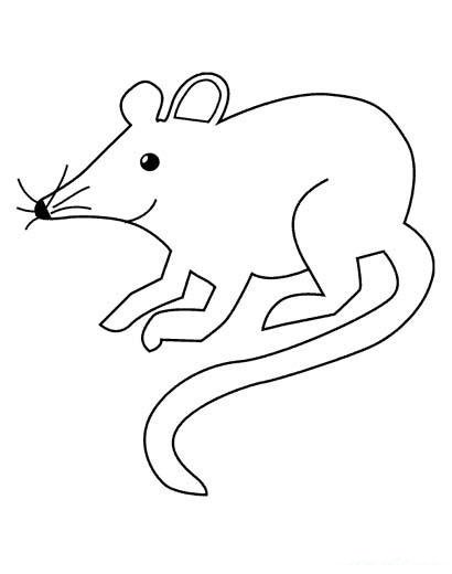 动物简笔画：老鼠