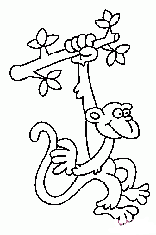 吊在树上的猴子简笔画