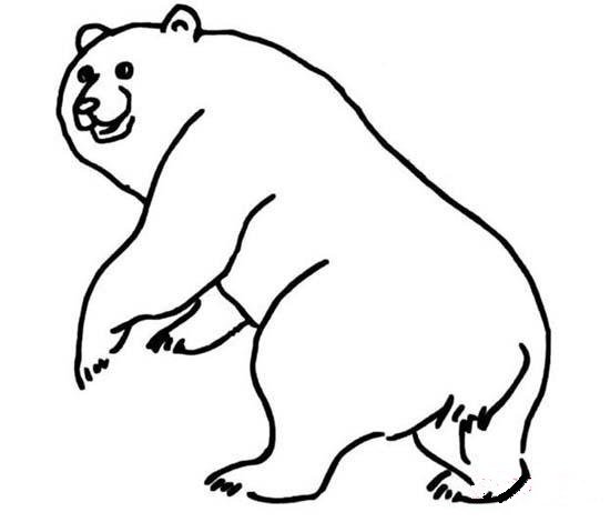 儿童关于熊的简笔画图片