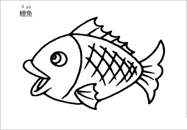 鲤鱼简笔画