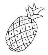 菠萝水果简笔画图片