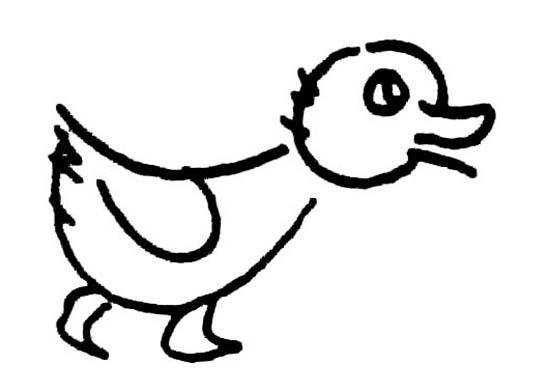 幼儿园画鸭子的简笔画