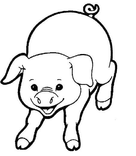 关于猪的简笔画