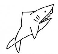 幼儿鲨鱼简笔画图片