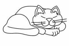 幼儿猫简笔画：睡懒觉的猫