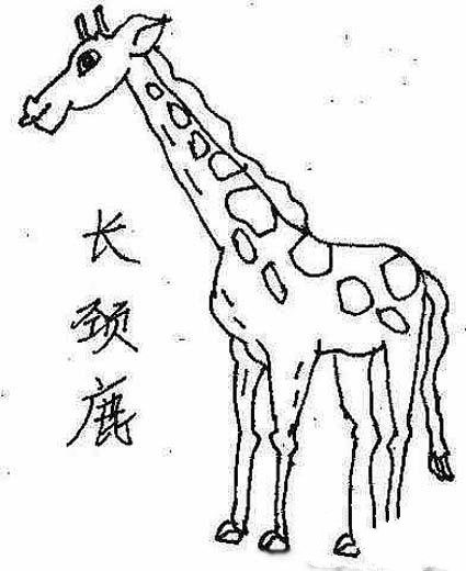 动物简笔画：长颈鹿