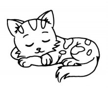儿童动物简笔画：睡觉的小花猫