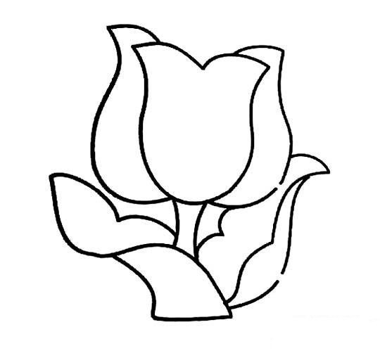 郁金香花朵简笔画图片