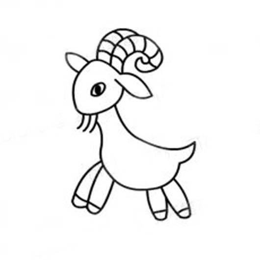 幼儿园羊的简笔画