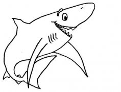 可爱的鲨鱼简笔画图片