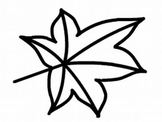 枫树树叶简笔画图片