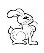 可爱的兔子简笔画[3P]
