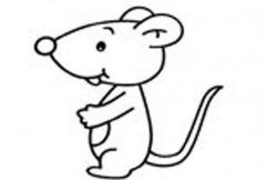 可爱的卡通小老鼠简笔画