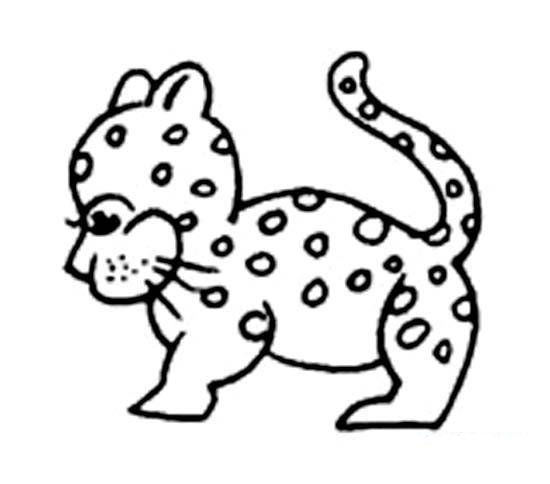 幼儿可爱小豹子简笔画图片