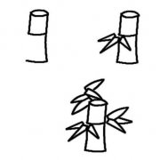 竹子简笔画教程步骤图片：怎么画竹子