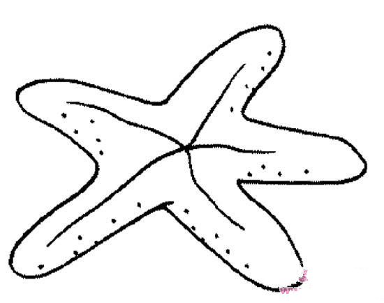少儿海洋生物简笔画图片：海星