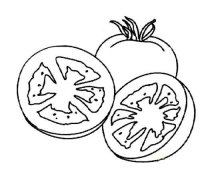 切开的西红柿简笔画