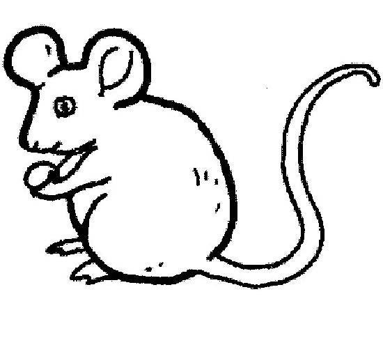 儿童老鼠简笔画图片