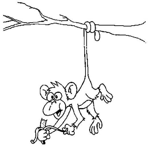 倒挂的猴子简笔画