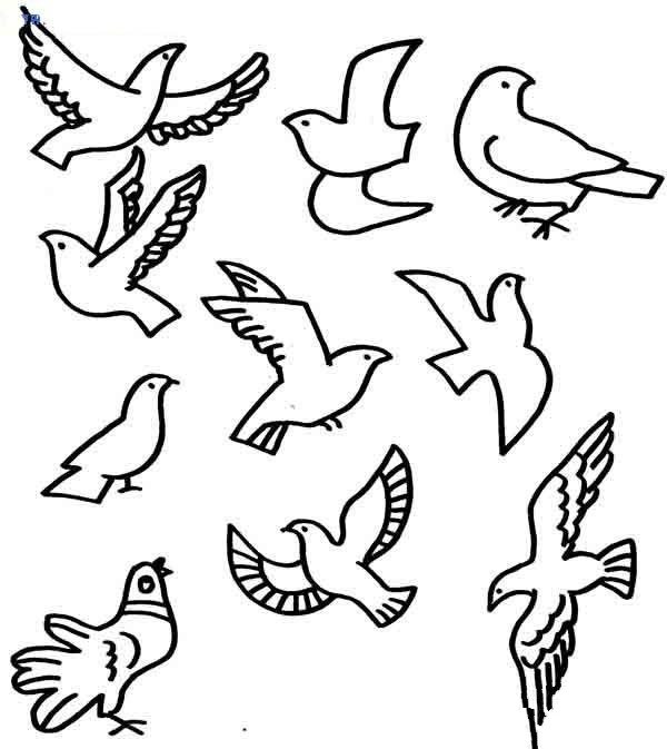 各种形态的和平鸽简笔画大全