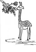 长颈鹿吃树叶简笔画