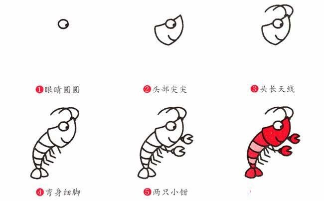虾的简笔画画法步骤：怎么画虾