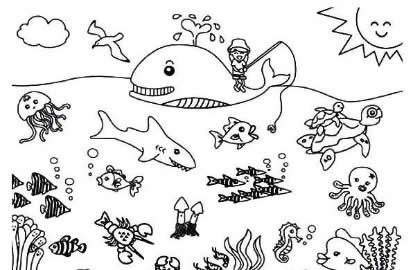 海洋动物的简笔画图片
