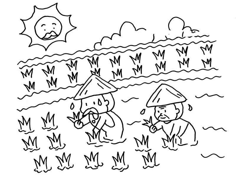 春季插秧播种的简笔画图片
