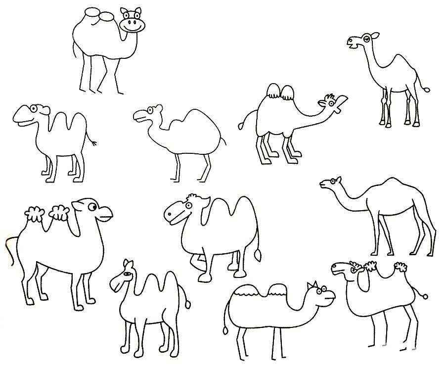 骆驼简笔画大全及画法步骤
