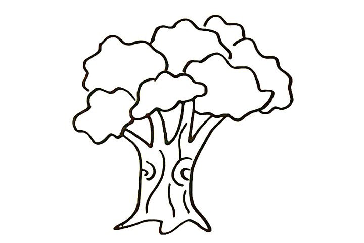 5.在树干上画上不同形状的纹理。