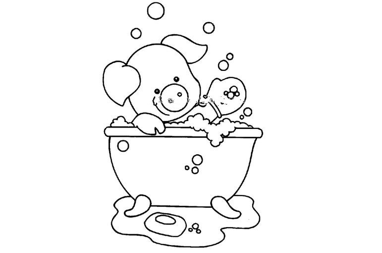 爱洗澡的小猪