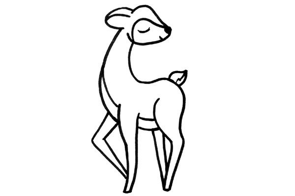 给小鹿画上表情，身体用弧线勾画出厚度轮廓。