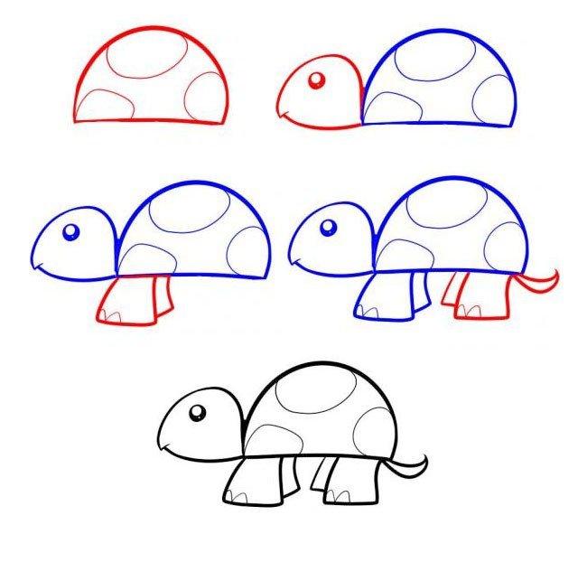 简笔画教程 小乌龟简笔画步骤图