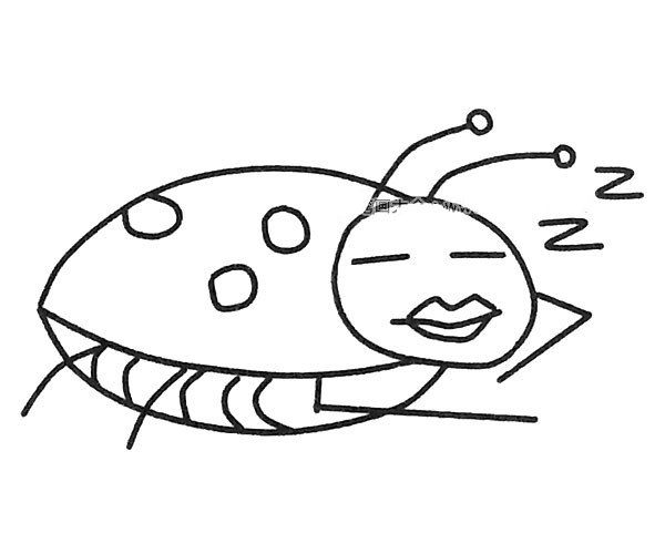 瓢虫简笔画图片1