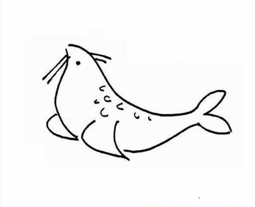 儿童简笔画图片 海豹