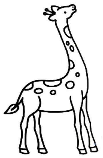 长颈鹿宝宝简笔画图片大全