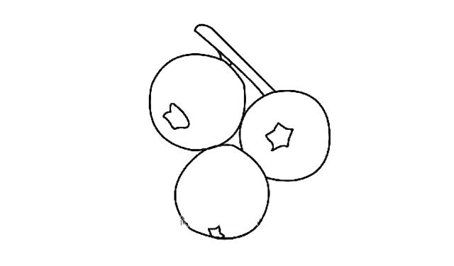 第四步:接着画出先端的圆形深洼,有的形状不规则有的像五角星。