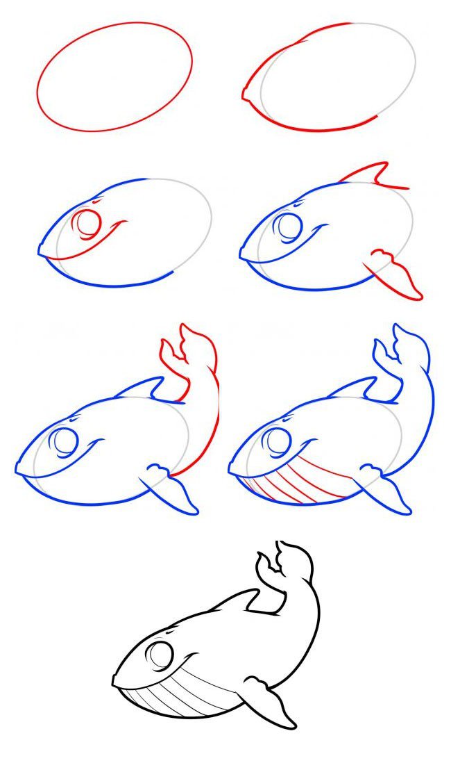 简笔画教程 鲸鱼的简笔画步骤图