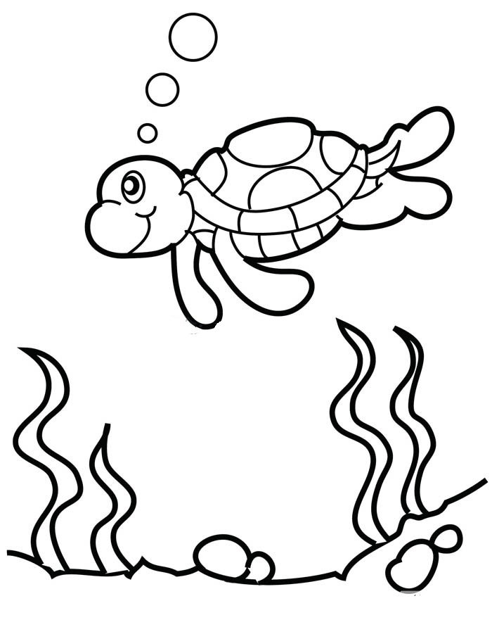 海里游泳的海龟