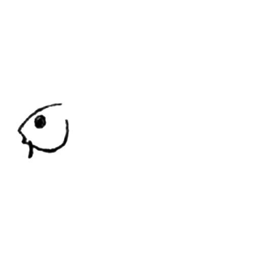 1.画出鱼头、鱼鳃和胡须。